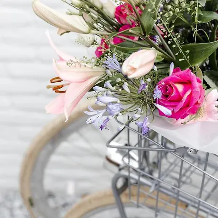 Studiolke Frühstückspension