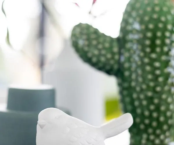 Studiolke Bed and Breakfast