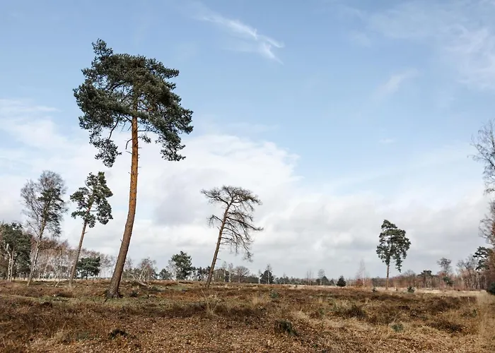 Studiolke Bed and Breakfast 3*