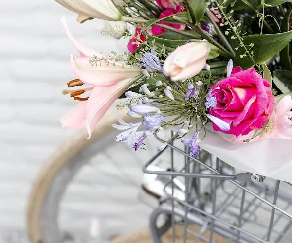 Studiolke Bed and Breakfast