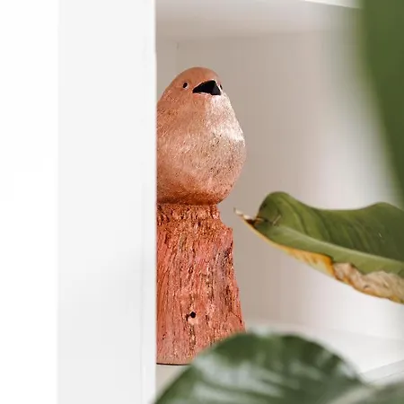 Studiolke Oda ve Kahvaltı 3*