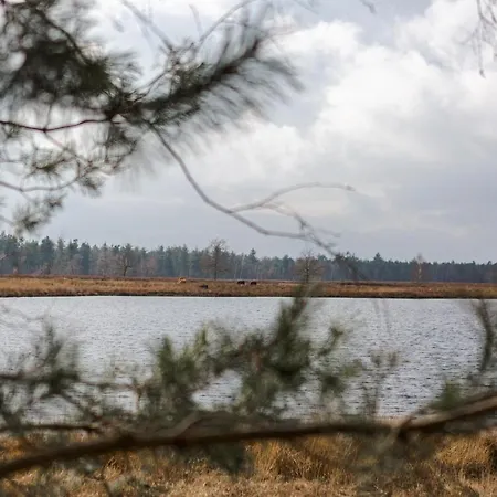 Studiolke Oda ve Kahvaltı