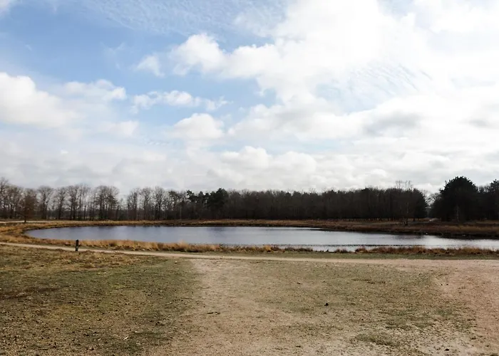 Studiolke Bed & Breakfast Heeze