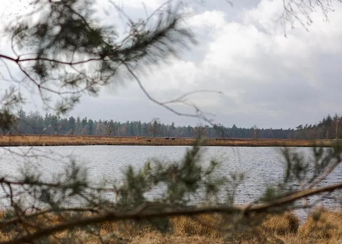 Studiolke Bed & Breakfast